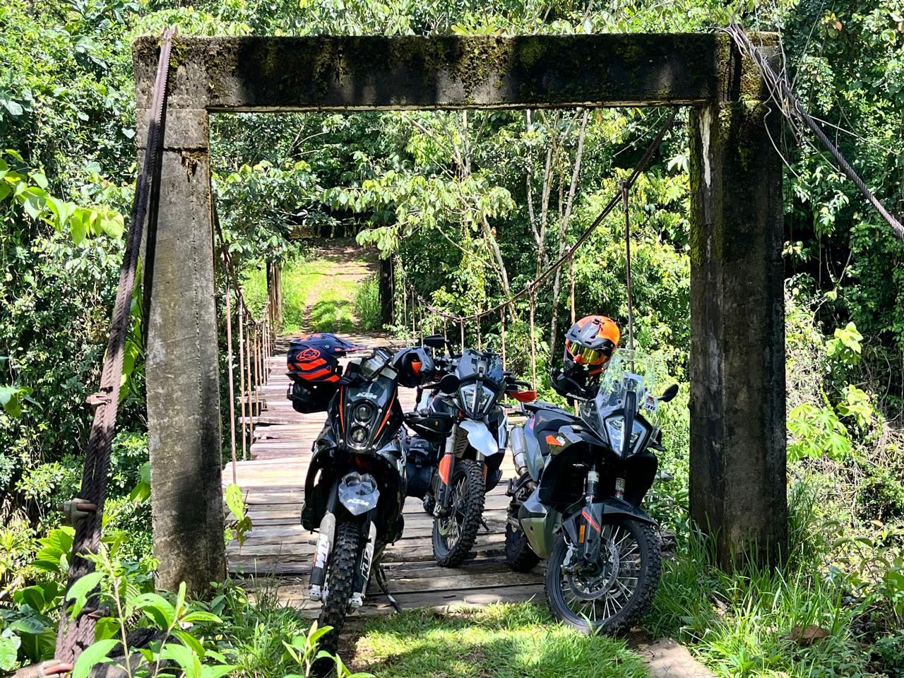Tres motos KTM en un puente colgante de madera, en el bosque.